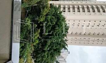 Imagem 2: Moema Pássaros Colégio Mobili