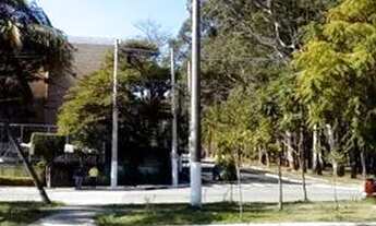 Imagem 3: Parque das Arvores Cidade Dutra