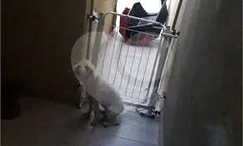 Imagem 5: Excelente apartamento reformado [VP