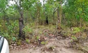 Imagem 3: FAZENDA À VENDA EM BALSAS - MA - 470 HECTARES - (DUPLA APTIDÃO