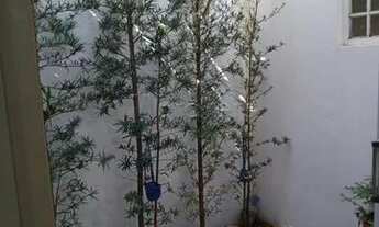 Imagem 2: Botucatu - Casa Padrão - Jardim Paraiso