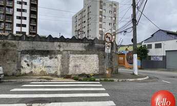 Imagem 7: São Paulo - Terreno Padrão - Tatuapé