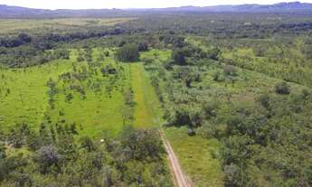 Imagem 3: Fazenda em Almas. 28 mil por alqueire