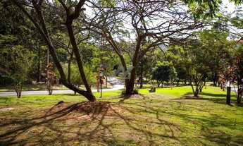 Imagem 6: Terreno - Joaquim Egídio - Campinas