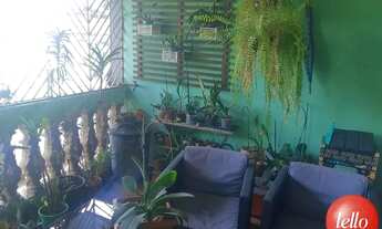 Imagem 5: São Paulo - Casa Padrão - Tatuapé