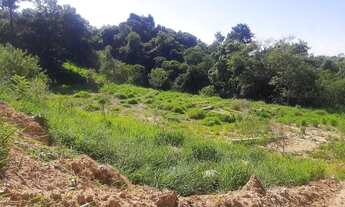 Imagem 3: Chacara no Pirai acima