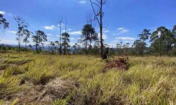 Imagem 4: Terreno Com Ruas Abertas em Atibaia