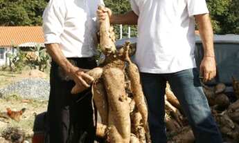 Imagem 3: Sítio de 280.000 metros² - zona rural de Piedade/SP