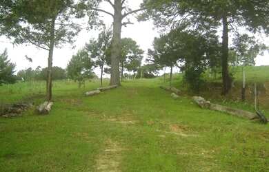 Imagem 7: Vendo lindo sítio- area com 3.820m2