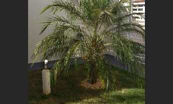 Imagem 3: Aluguel Casa Três Quartos Cachoeira Alta Goiás