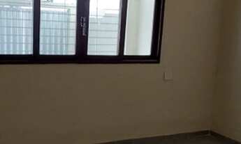 Imagem 5: Alugo linda casa no Ibura de Baixo