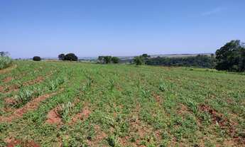 Imagem 4: Fazenda Região Guaraci -PR. Distrito Bentópolis
