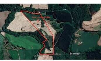 Imagem: VENDO ÁREA RURAL EM ÁUREA, RS