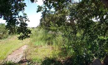 Imagem 3: Fazenda 2 quartos ZONA RURAL