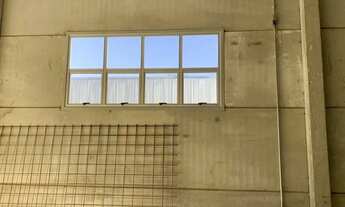 Imagem 7: Galpão para alugar, 300 m² por R$ 20.000,00/mês - Castelo - Belo Horizonte/MG