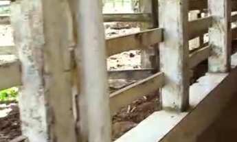 Imagem 7: Fazenda na Zona Rural de Cruz das Almas