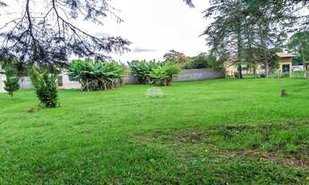 Imagem: Vendas Terreno Quatro Barras PR