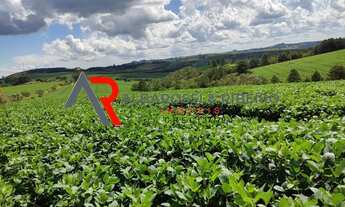 Imagem 6: SITIO RURAL em SÃO MIGUEL ARCANJO - SP, SÃO MIGUEL ARCANJO