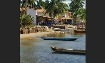 Imagem 2: Vendo área com 72.000 m2 no Aratincum - Jandaira Ba