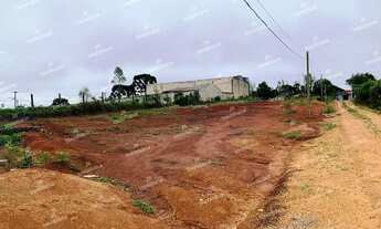 Imagem 3: Excelente Chácara Sem Benfeitorias