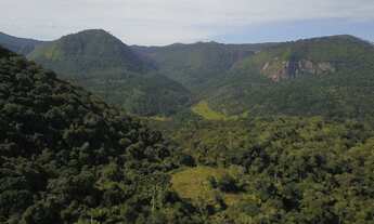 Imagem 5: Linda area de 2 hectares com LUZ em Urubici