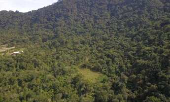 Imagem 2: Linda area de 2 hectares com LUZ em Urubici