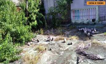 Imagem 6: TERRENO NO CENTRO DE LAURO DE FREITAS