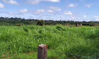 Imagem 5: Fazenda em rorainopolis