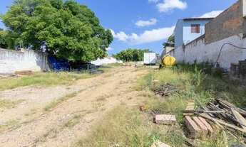 Imagem 7: Terreno para Venda - 0m², 0 dormitórios, Tristeza