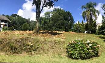 Imagem 4: Terreno - Bairro Mato Queimado