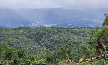 Imagem 3: 2 HECTARES À VENDA - EXCELENTE OPORTUNIDADE