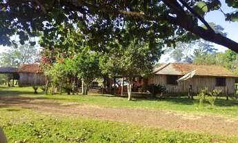 Imagem 2: Excelente chácara 30 hec - Douradina MS