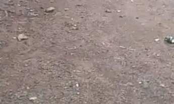 Imagem 2: Terreno em George Oeterer (Plano