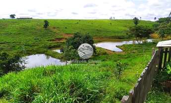 Imagem 3: Venda - Sítio - Vale do Anari - 25 Alqueires Top