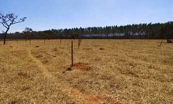 Imagem 5: Chácaras em guapo sendo 3 km e meio apenas da cidade !