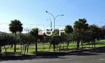 Imagem 5: Terreno Swiss Park