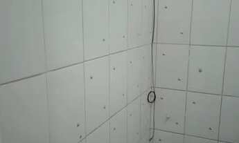 Imagem 4: KIT NET CONTAGEM