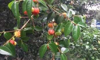Imagem 5: Casa de condomínio para aluguel tem 300 metros quadrados com 4 quartos