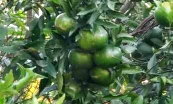 Imagem 5: Casa 2 quartos Casa com 2 dormitórios