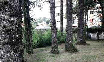 Imagem 4: Terreno - Bairro Centro