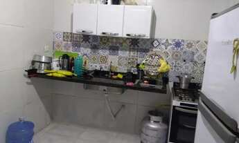 Imagem 6: Casa em pau amarelo