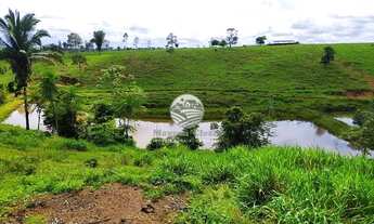 Imagem 5: Venda - Sítio - Vale do Anari - 25 Alqueires Top