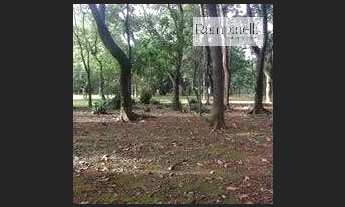 Imagem 3: CASA ALUGA / VENDE - COMERCIAL - ALTO DA LAPA. EXCELENTE PARA ESCOLA