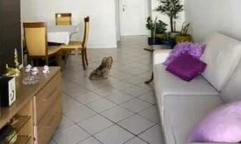 Imagem: 07- Bairro República - Vitória