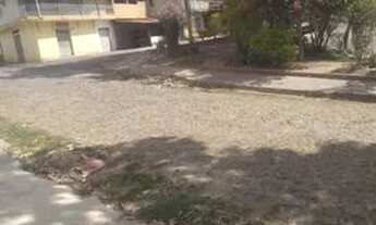 Imagem 4: Aluga-se uma loja no valor 490 reais