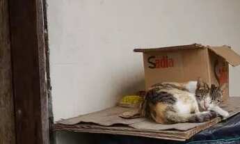 Imagem 6: Casa localizada na Rua Lamarão, Centro Água Fria