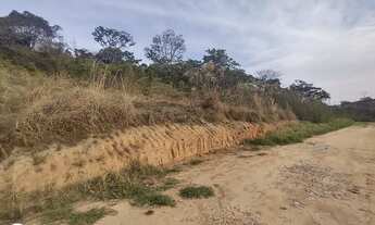 Imagem 4: Lote Tropical Contagem Top e barato pra vender rápido
