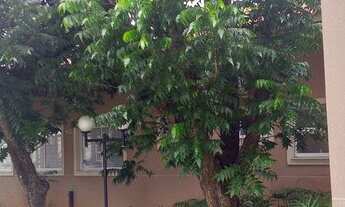 Imagem 7: Apartamnento Jardim Botanico R$ 285.000 mil Hortolandia