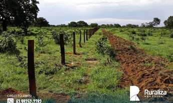 Imagem 6: Fazenda na região do vale do Araguaia - TO