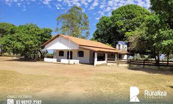 Imagem 2: Fazenda na região do vale do Araguaia - TO